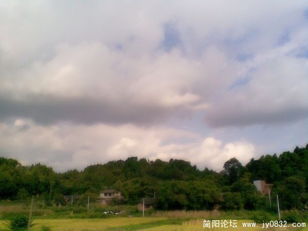 图像006.jpg