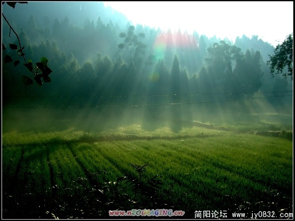 晨光！.jpg