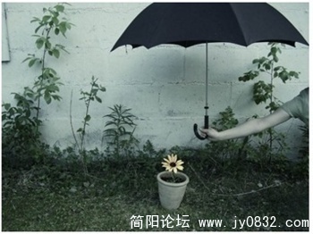 abbr_a8575a758ecab7035c3a2fcca23c1df8.jpg