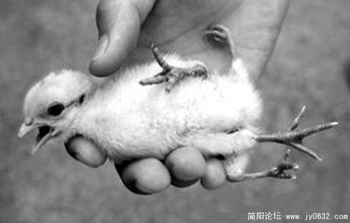 肯德基2.JPG