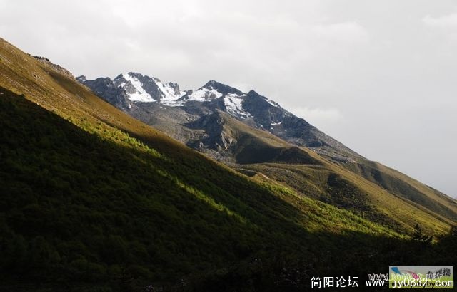 20081120_45d7f2d195eca3e6cc77rm9CjQeufNgD.jpg