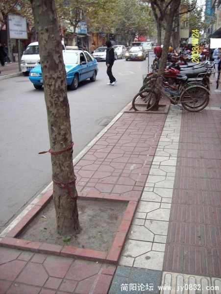 SANY0493.JPG