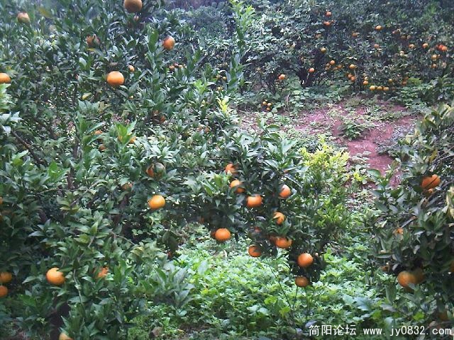 照片-0015.jpg