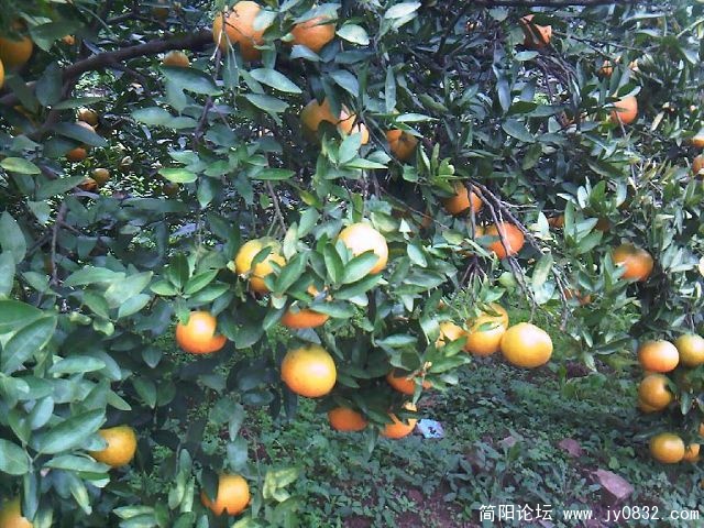 照片-0016.jpg