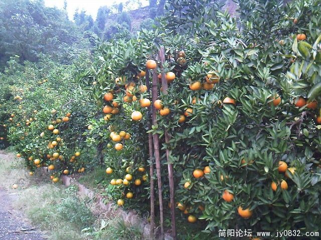 照片-0012.jpg