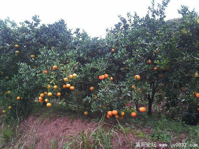 照片-0018.jpg