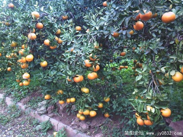 照片-0020.jpg