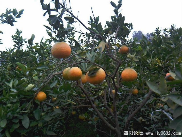 照片-0010.jpg