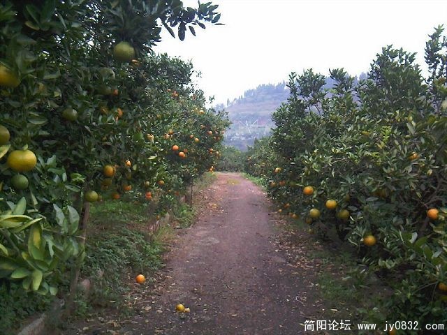 照片-0011.jpg