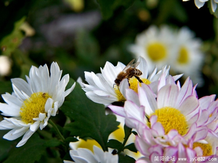 100_3079.JPG