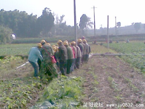 民工把电杆移动一下位置.jpg