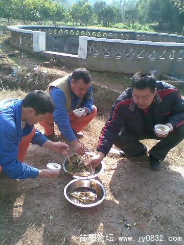 今天中午还是两盆.jpg