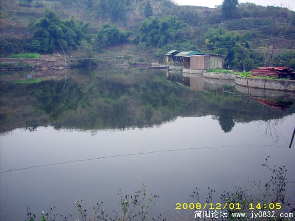 DSCI0007.jpg