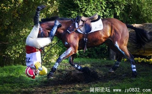8b2be5ac298a3dd804ef1f41f3990c63.jpg