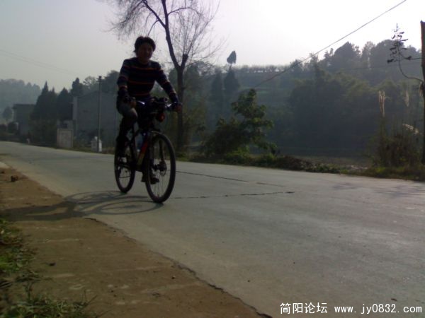 20081130684.jpg