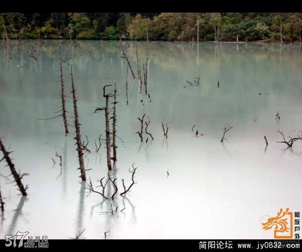 20081008_97429c15d3e7bc6865a0E0EBKvjxiV8i.jpg