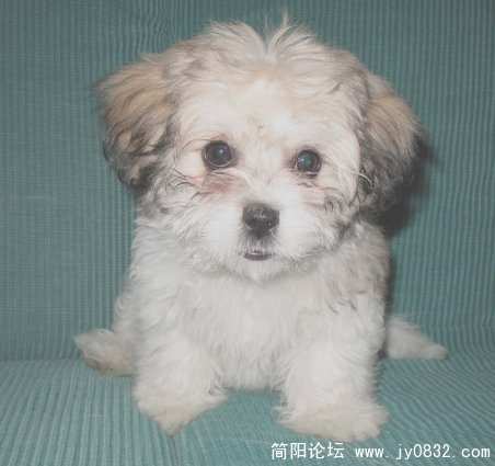 另外一条 呵呵