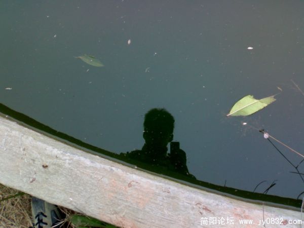 你们猜一哈！这是那个？看影子是不是有点帅哦?