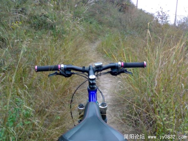 这是我前面的路！这条小路上我以30码多一点的速度前进，差点就会不来了！悬！