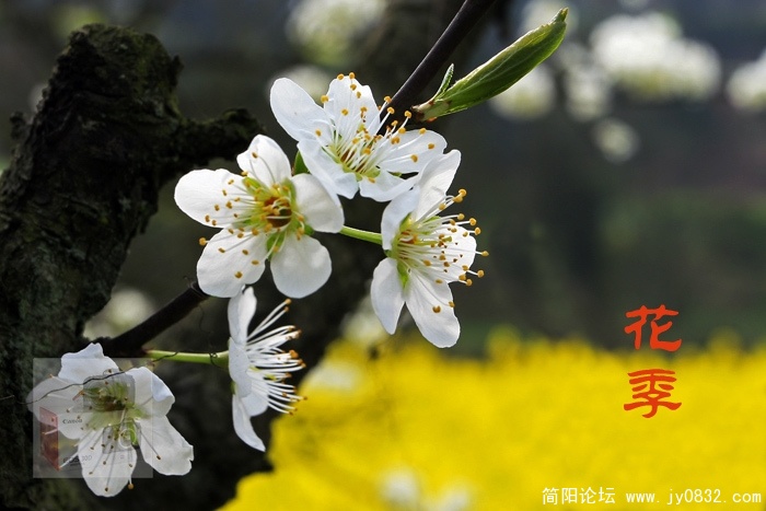 _MG_3709.jpg