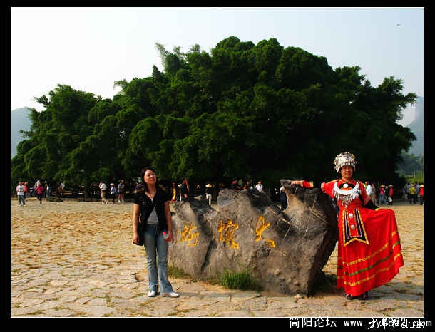 阳朔  大榕树  东北“刘三姐”