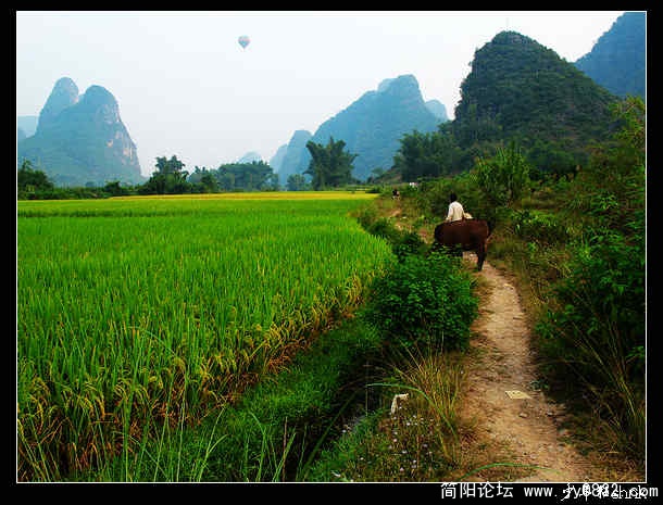 阳朔遇龙河西岸 乡村小道.jpg