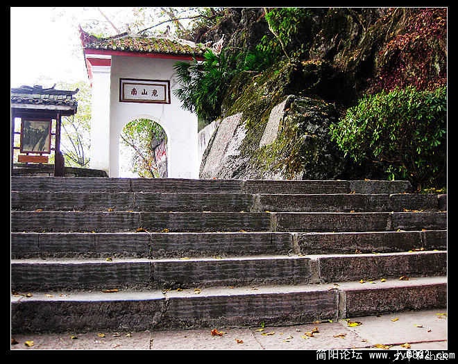 阳朔碧莲峰南山苊.jpg