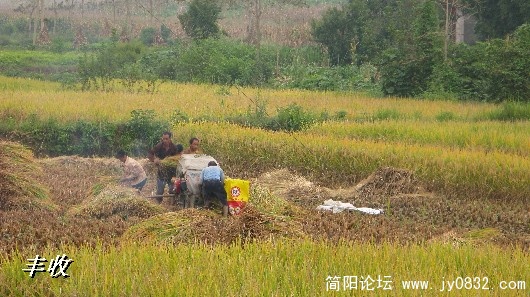 BigBull_IMG_0074.JPG