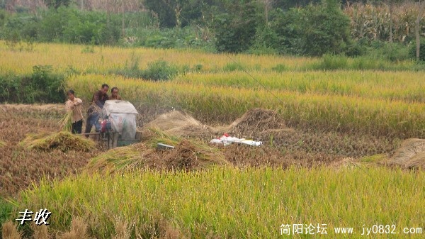 BigBull_IMG_0073.JPG