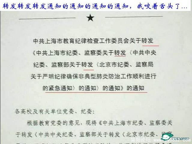 1209197410541.jpg