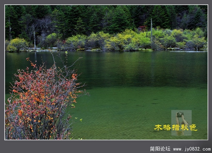 _MG_5482.jpg