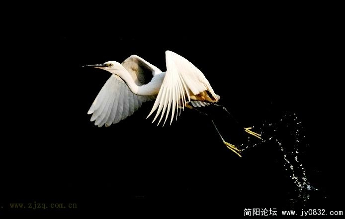 跃..jpg