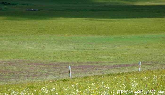 红原-4.jpg
