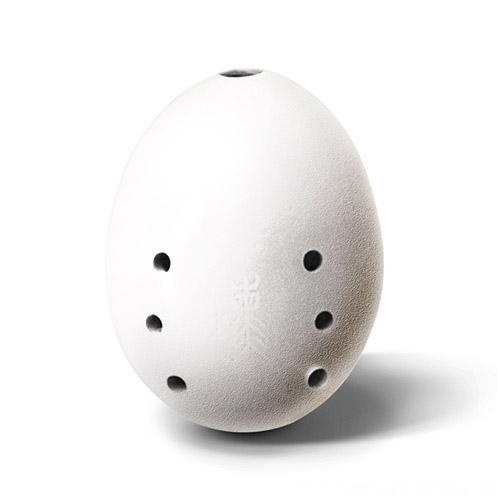 D40.jpg