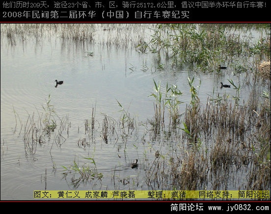 DSCI0794.JPG