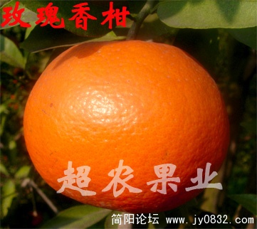 200811222334173.jpg