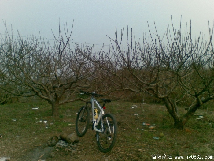 图像026.JPG