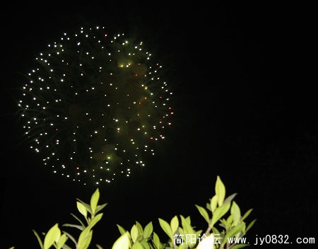 照片a 131.jpg