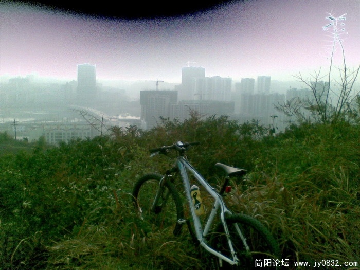 图像013.JPG