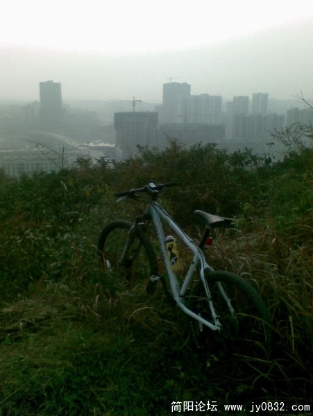 图像011.JPG