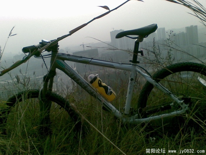 图像017.JPG