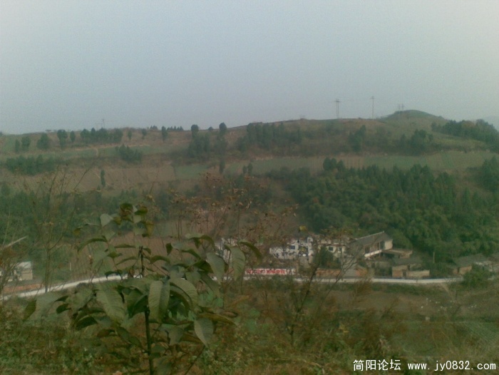图像009.JPG