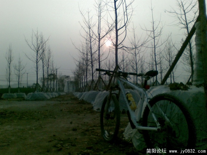 图像039.JPG