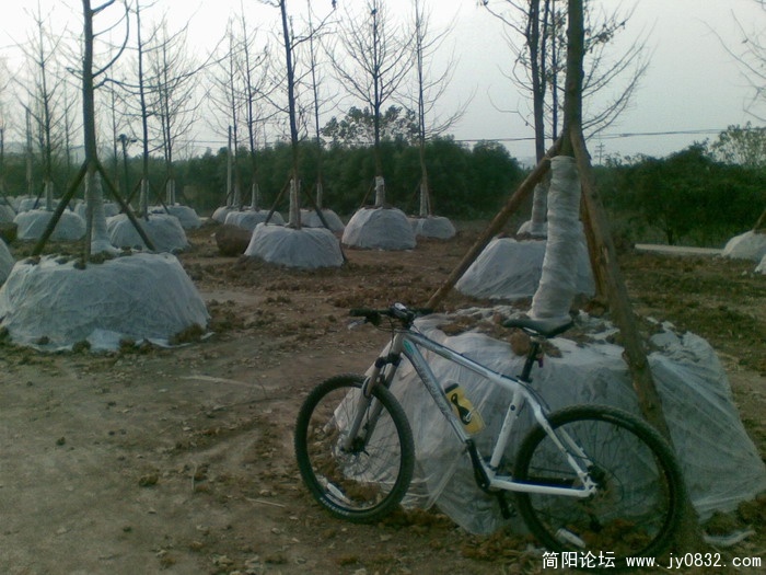 图像041.JPG