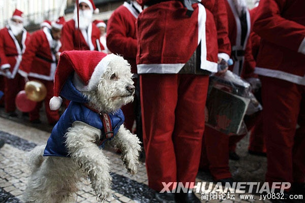 xin2008.jpg