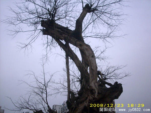 DSCI0068.jpg