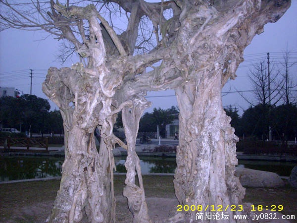 DSCI0069.jpg