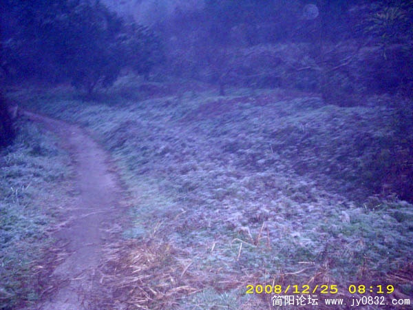 DSCI0085.jpg