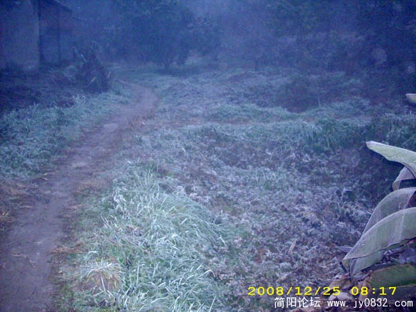 DSCI0081.jpg
