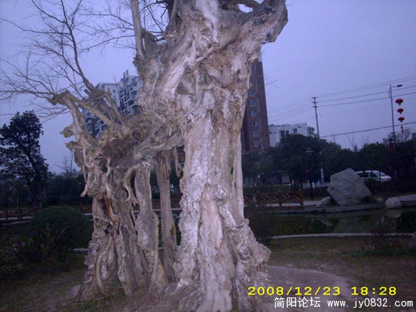 DSCI0067.jpg